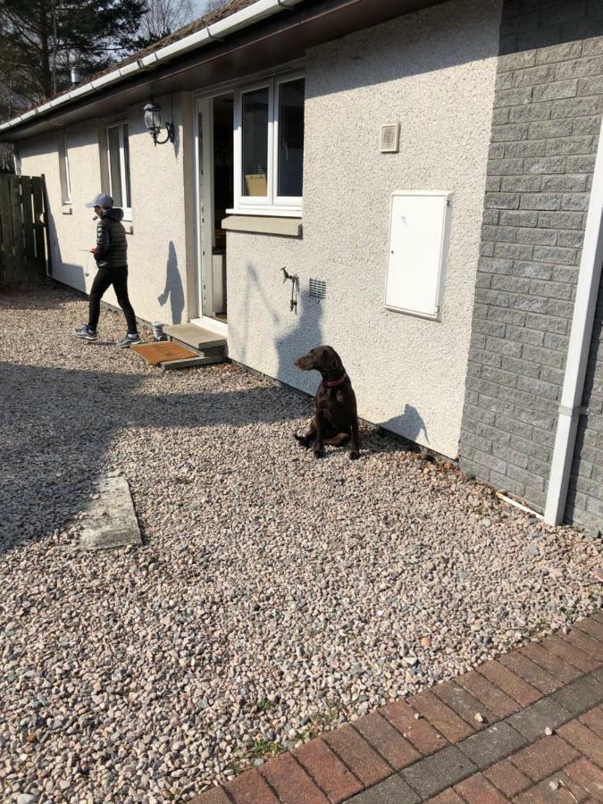 Linmore Aviemore Dış mekan fotoğraf