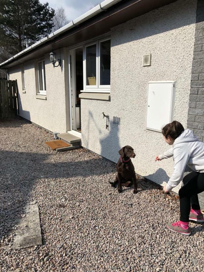 Linmore Aviemore Dış mekan fotoğraf