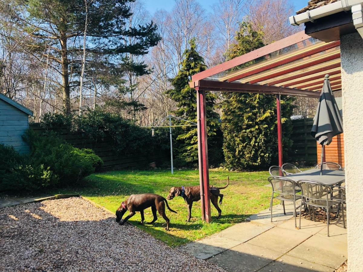 Linmore Aviemore Dış mekan fotoğraf