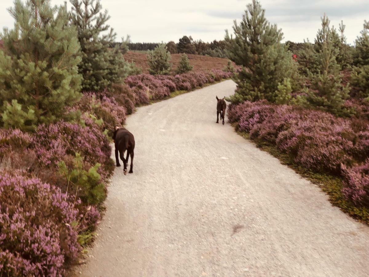 Linmore Aviemore Dış mekan fotoğraf