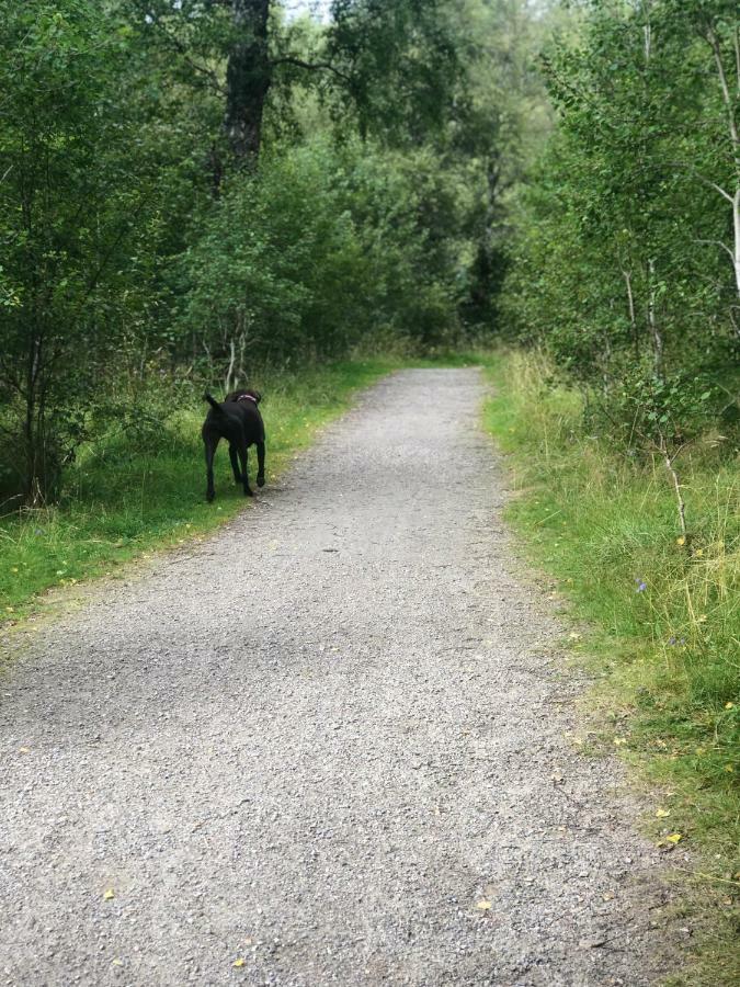 Linmore Aviemore Dış mekan fotoğraf